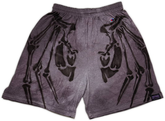 A pair of Champion athletic shorts in a washed dark gray or charcoal color, featuring a large black skeletal wing design printed on both sides. The Champion logo is visible on the upper right hip.